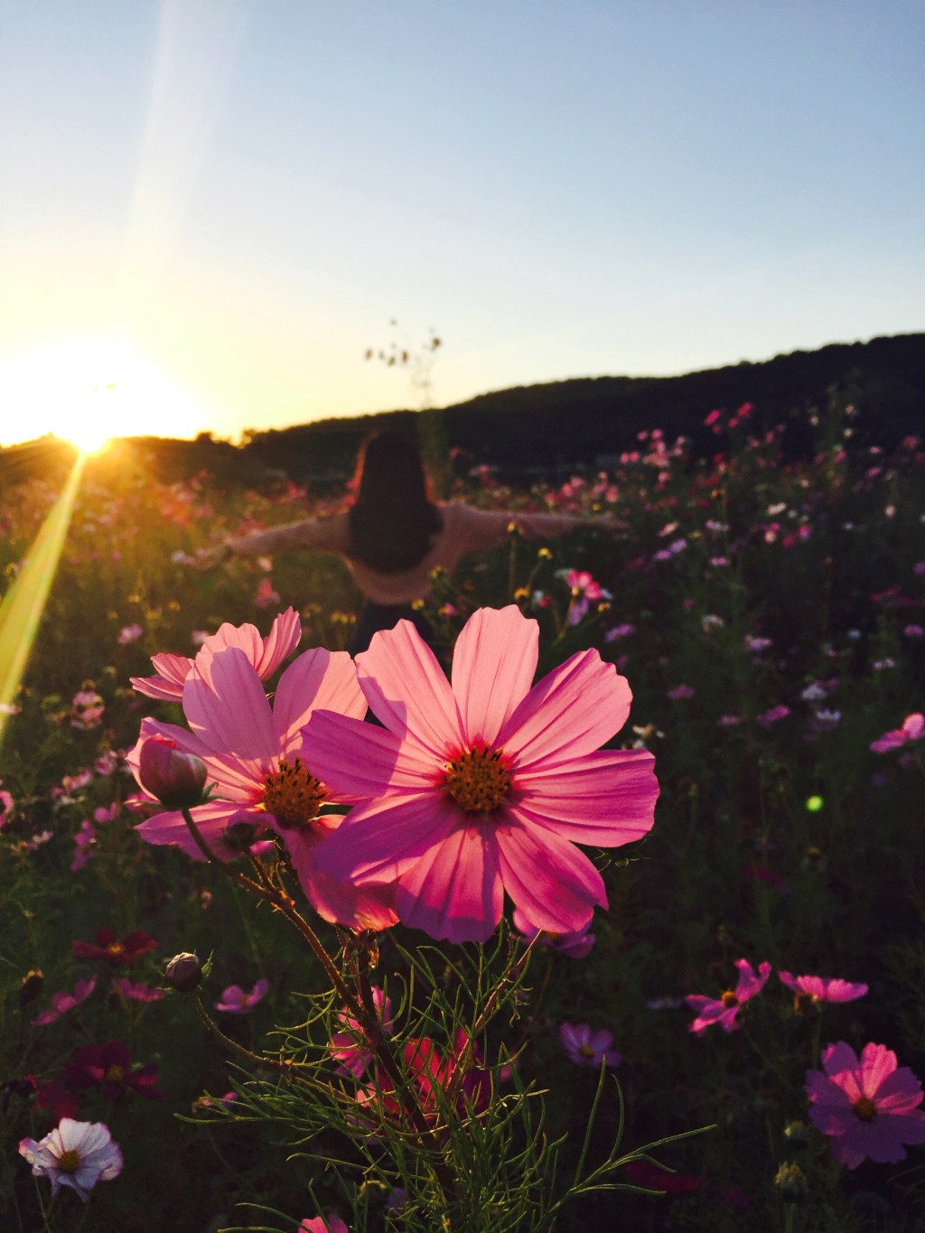 Learning to Surrender to Something&nbsp;More