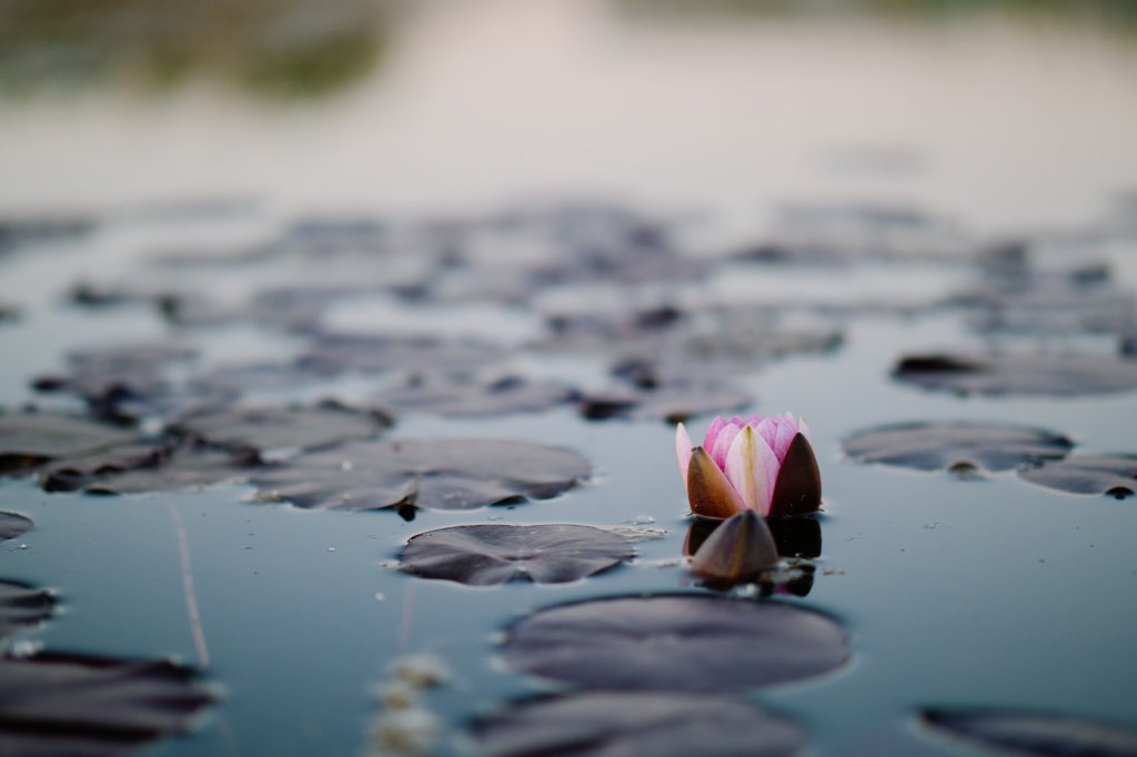 The MindBody Connection
